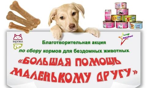 Акция помоги бездомным животным