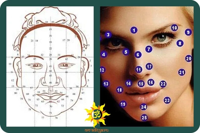 Родимое пятно значение у женщин. Физиогномика родинки на лице. Расположение родинок на лице. Схема родинок на лице. Карта лица физиогномика.