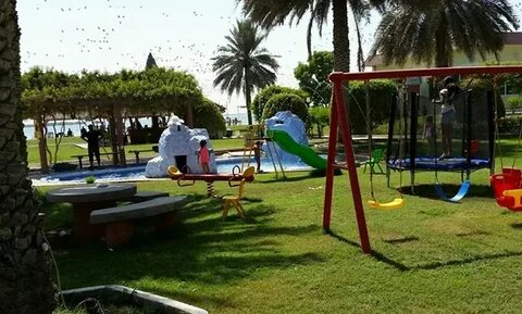 Flamingo beach 3 отзывы