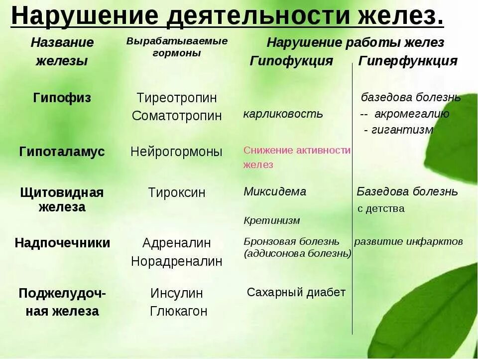 Название желез. Таблица по биологии 8 класс железы внутренней секреции и гормоны. таблица по биологии эндокринные железы гормоны функции. гормоны желез внутренней секреции и их функции. таблица по биологии 8 эндокринные железы гормоны функции.
