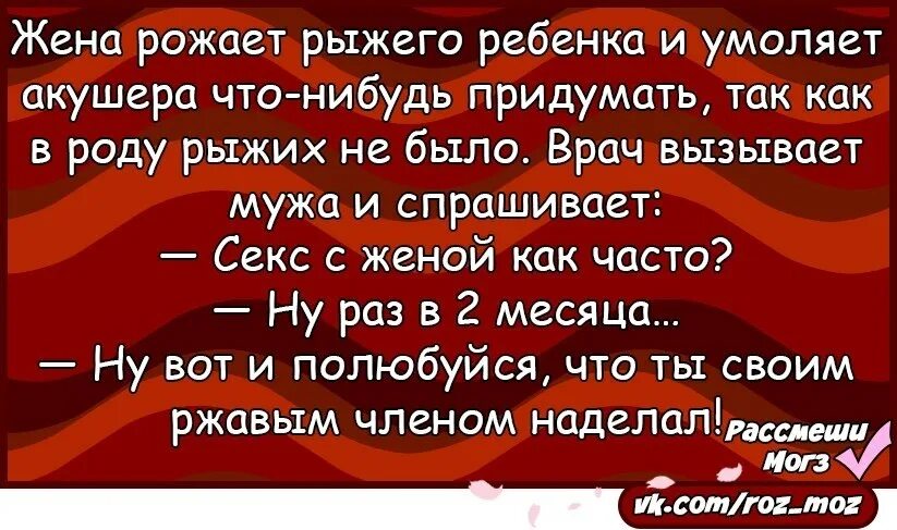 Смешные анекдоты про рыжих. Шутки про рыжих. Рыжий лис переписки. Рыжий. Юмор про тараканов.
