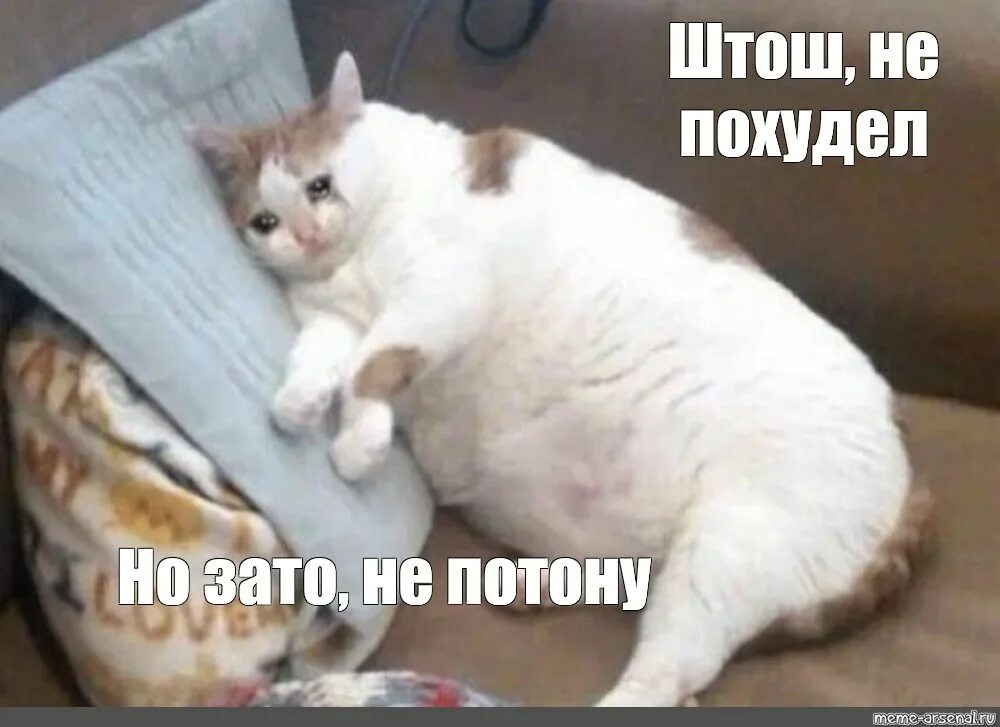 Какой праздник 15 февраля одиноких. Одиночка февраля. 15 февраля день одиноких. День воина интернационалиста. 15 февраля праздник день одиноких.