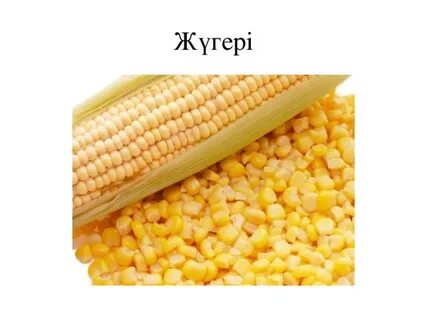 Порно видео барият