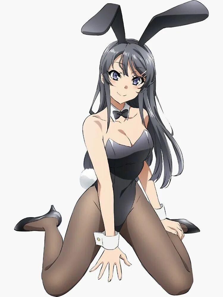 Bunny girl akasaki. Банни герл мэй. Банни герл семпай. Bunny girl. Что такое daddy bunny girl.