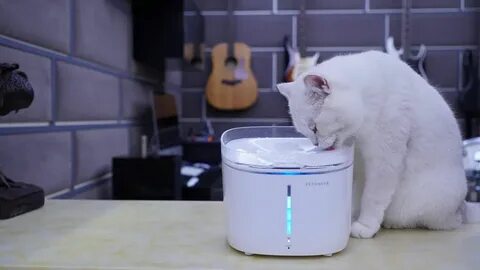 Xiaomi pet fountain