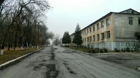 Северное снежное