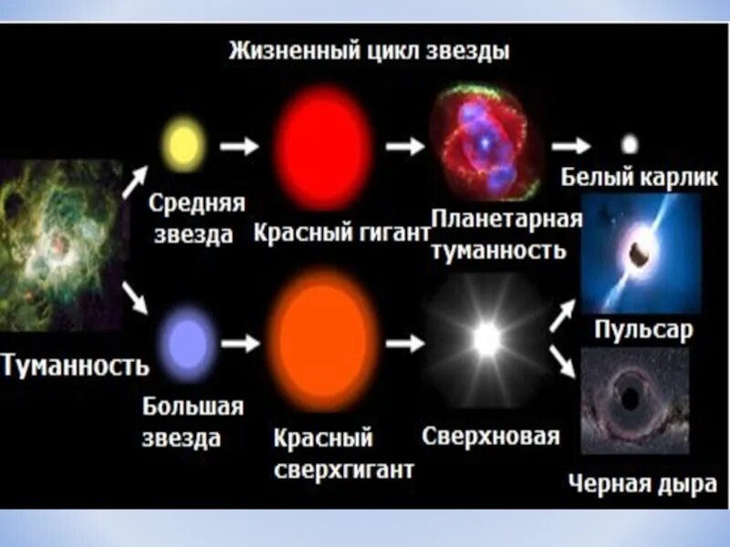 Жизненный цикл звезды. Цикл жизни звезды схема. Жизненный цикл звезд протозвезда. Схема эволюции звезд.