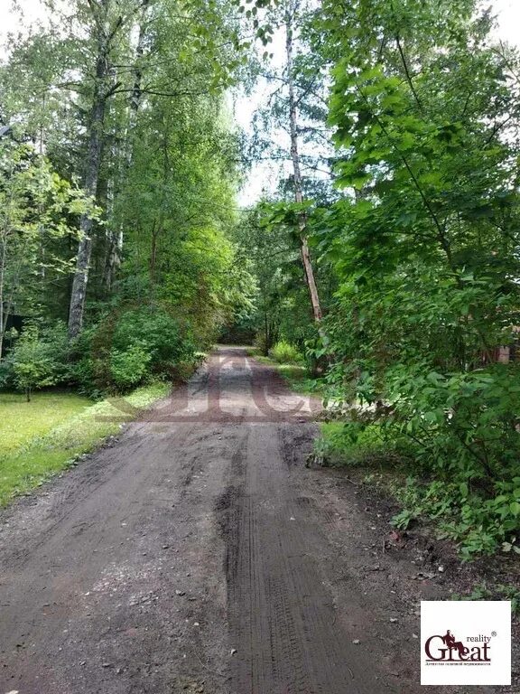 Зеленоградский дачный посёлок пушкинский район. Погода зеленоградский пушкинский. Погода зеленоградский пушкинский. Погода в зеленограде сегодня. Станция зеленоградская пушкинский район.