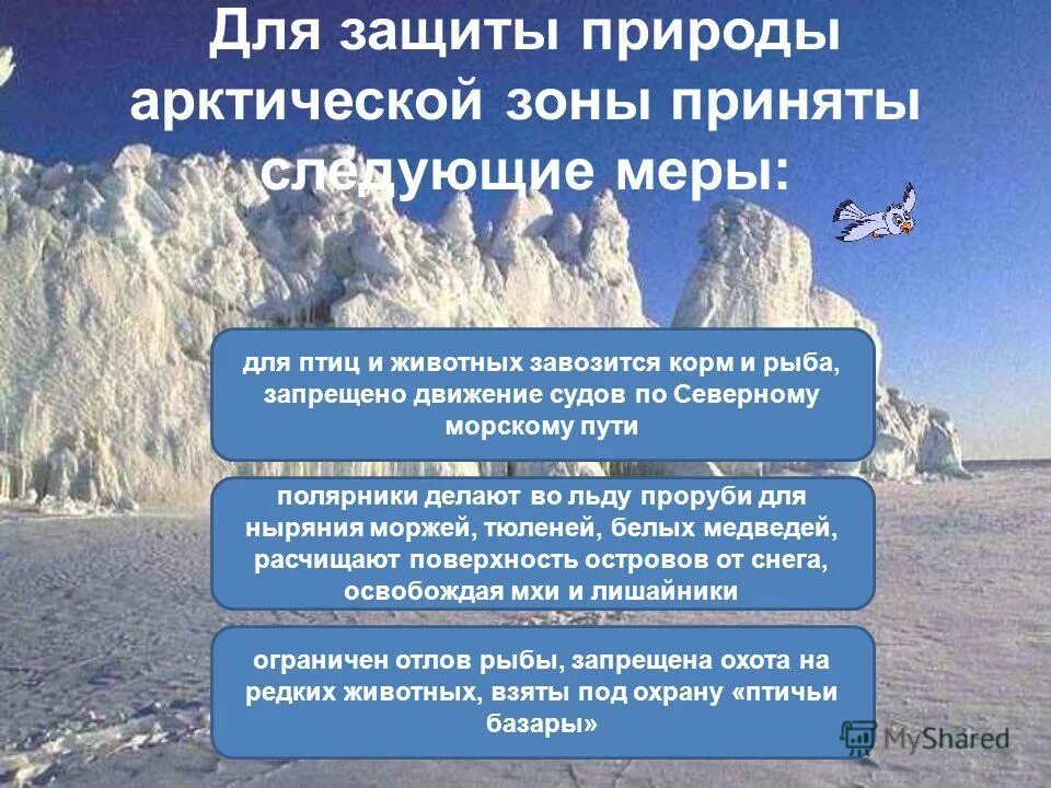 для защиты арктической зоны приняты следующие меры. для защиты арктической зоны приняты следующие меры. какие меры приняты для защиты арктической зоны. для защиты арктической зоны приняты следующие меры. для защиты арктической зоны приняты следующие меры.