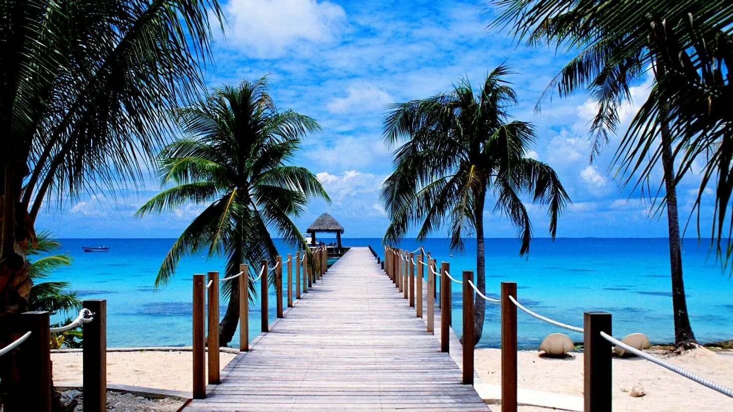 Море пляж. Райский пляж. Красивый пляж на рабочий стол. Пальмы и океан.