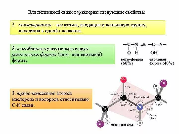 Укажите пептидную связь. Свойства пептидной связи биохимия. Пептидная связь особенности пептидной связи. Характеристика пептидной связи. Характеристики пептидной связи биохимия.