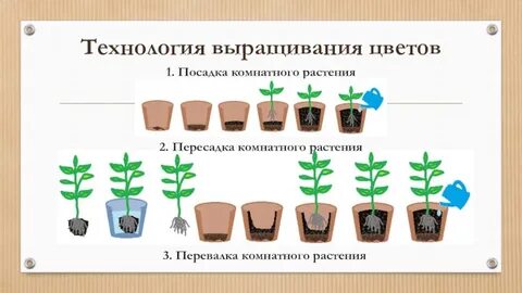 Посадка кратко