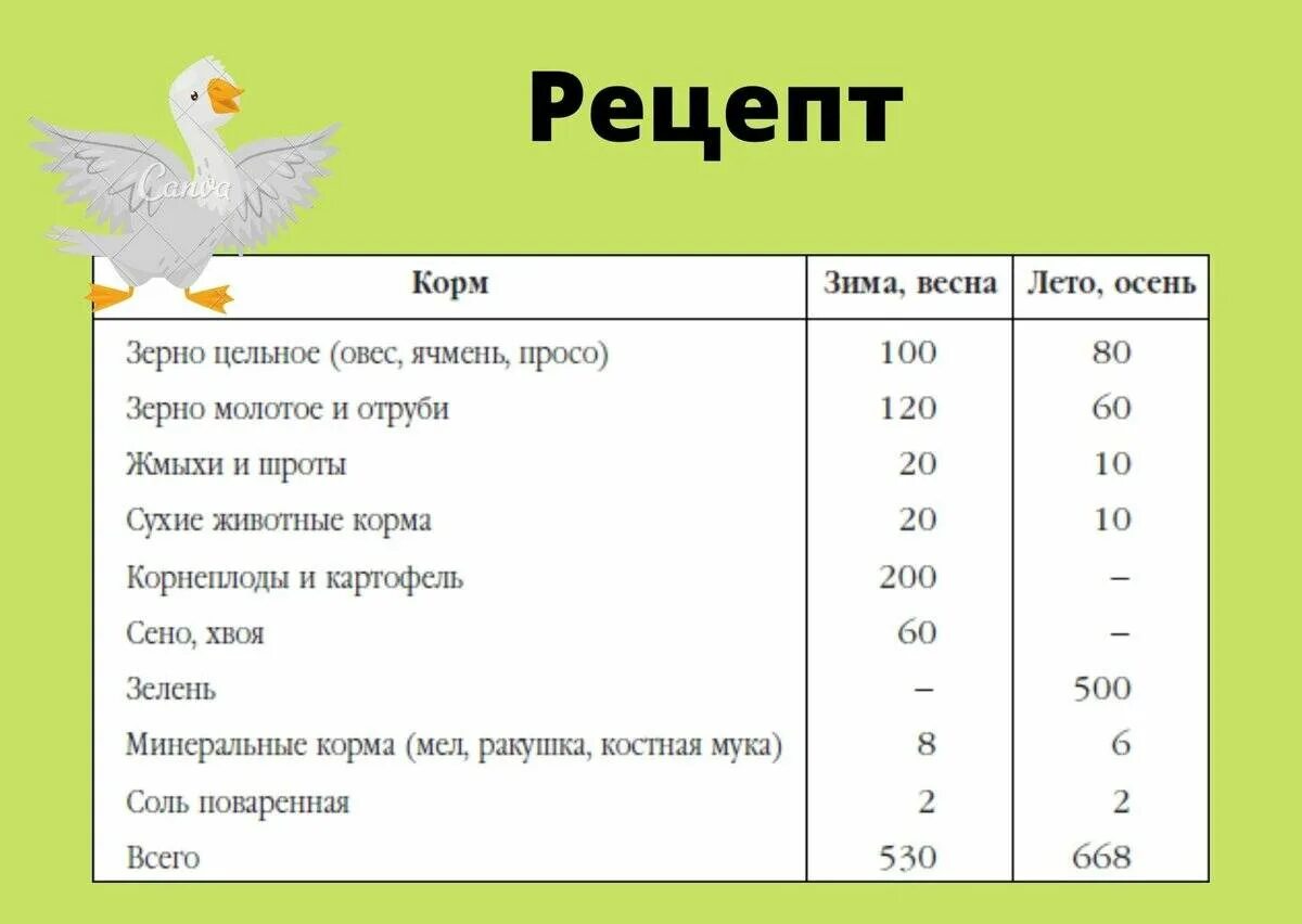 Чем кормить суточных гусят. К рацион кормления гусят в домашних. Нормы кормления гусей комбикормом. Норма корма для гусят в сутки. Норма комбикорма для гусей в сутки.