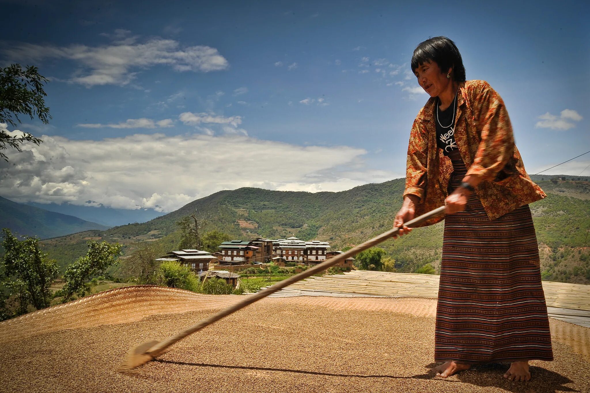 Бутан сельское хозяйство. Экономика бутана. Экономика бутан сельское хозяйство. Спорт бутан. Транс бутан