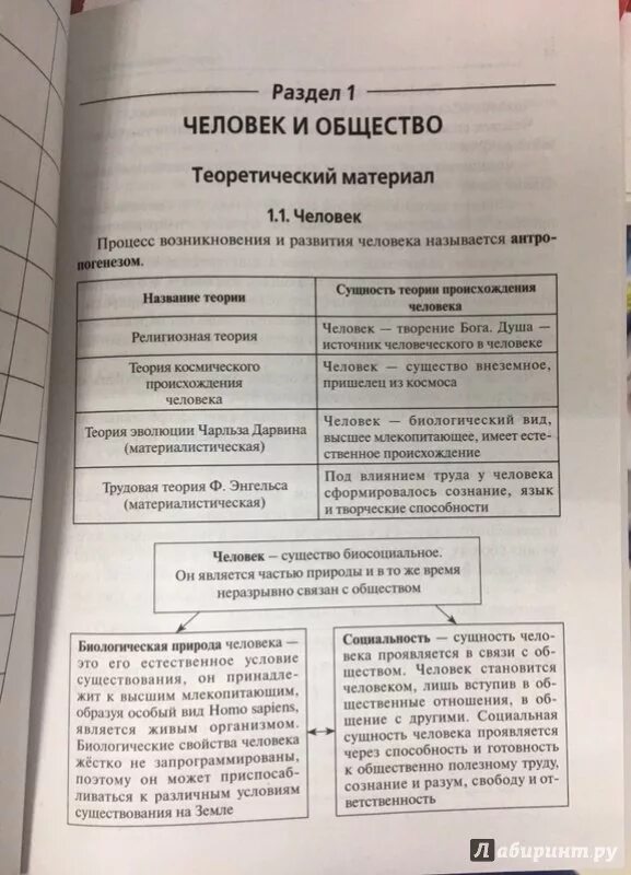 Огэ по обществознанию человек и общество. Обществознание ОГЭ теория. Теория это в обществознании. Обществознание 9 класс ОГЭ теория. Человек и общество Обществознание ОГЭ.