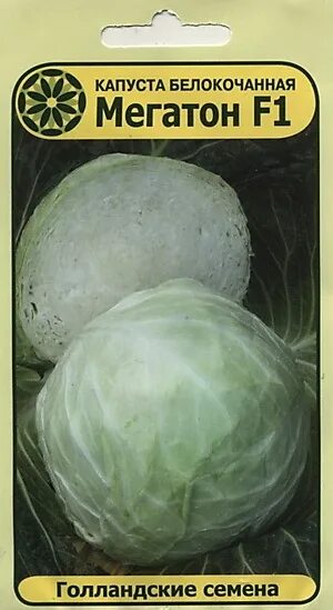 капуста б/к "профессор" f1. капуста фрейлина f1. капуста белокочанная ринда ф1.