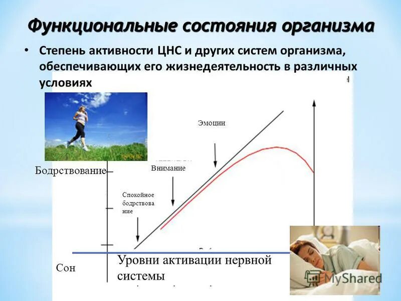 Состояние организма возникающее в результате деятельности