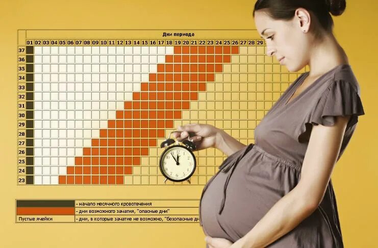 Срок беременности по месячным. Срок беременности. Беременность и рок. Как считается беременность. Календарь беременности.