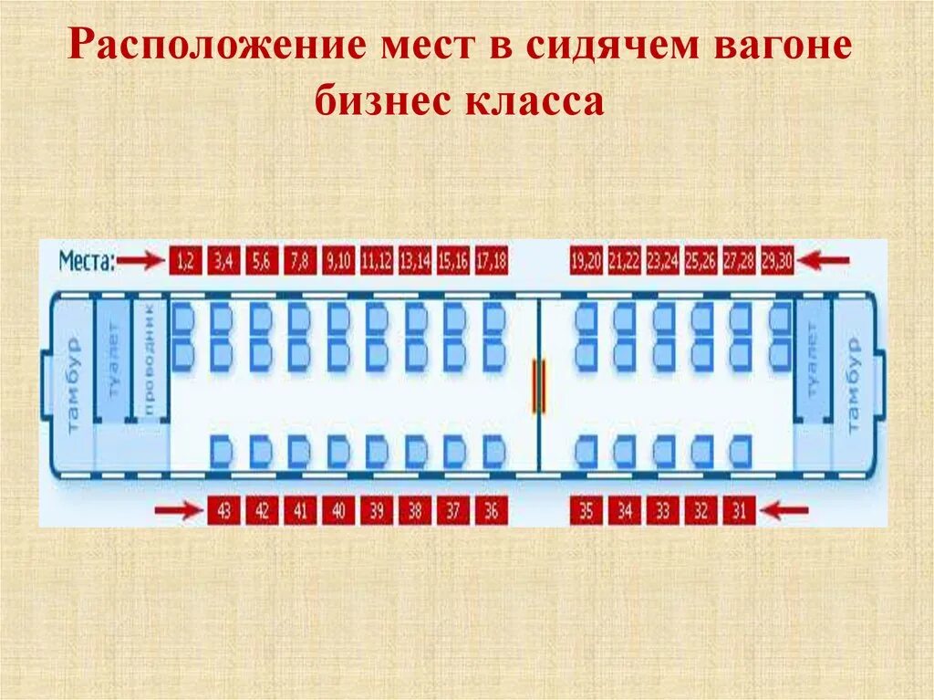 "Прекрасный" вид на стенку: за что я очень не люблю сидячие вагоны на РЖД. Немос