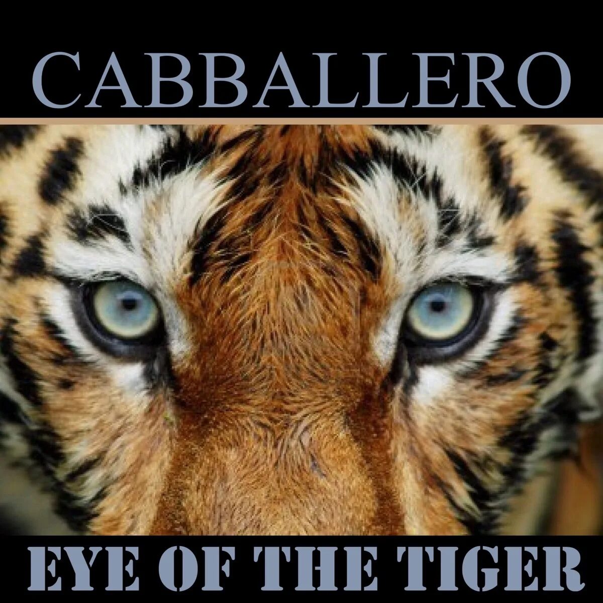 Тайгер слушать. Tiger Eyes. & Tiger альбом. Eye of the Tiger альбом. Eye of the Tiger led Zeppelin альбом.