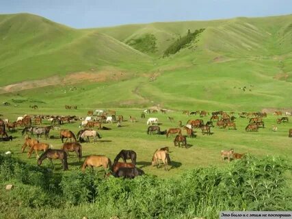 Малая казахский