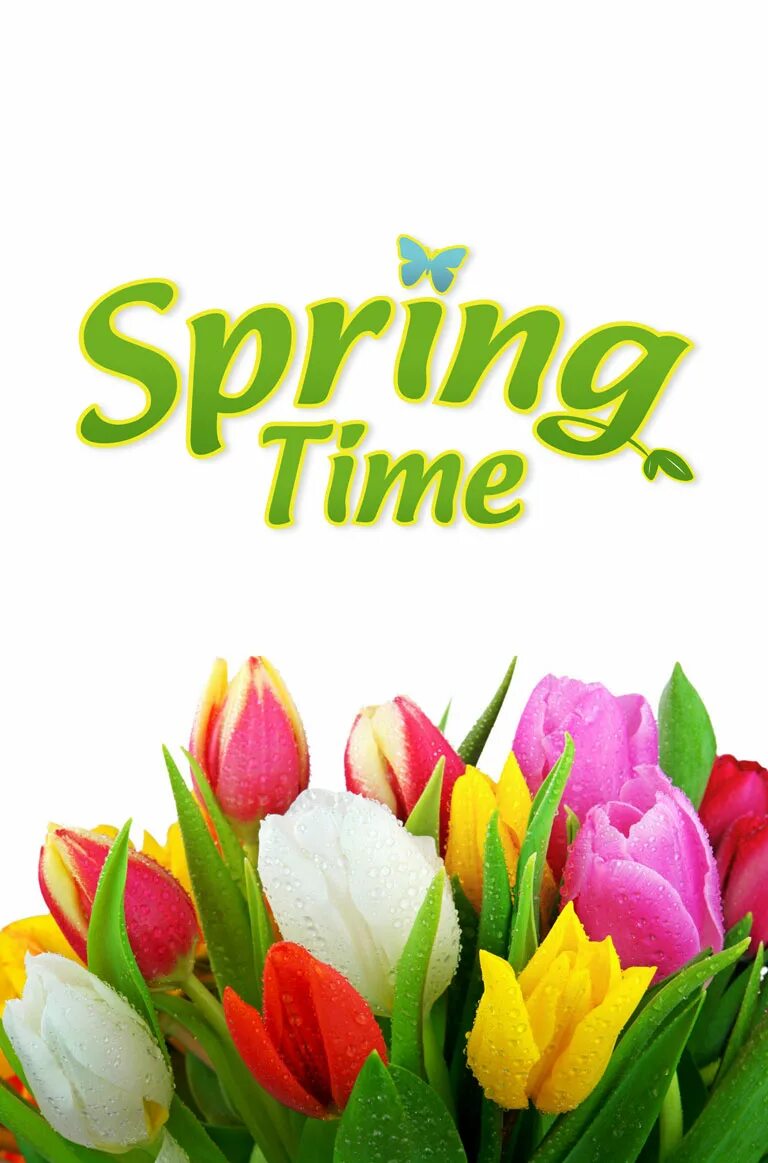 Спринг тайм. Spring time на прозрачным фоном. Spring is the time. Spring timer.