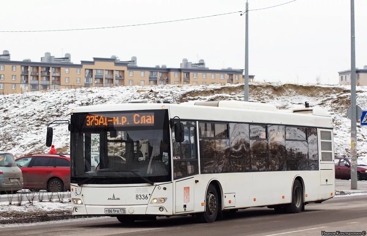 МАЗ 203 Санкт Петербург Фотобус. Автобус Пушкин. Автобус 375. Автобус в Пушкине.