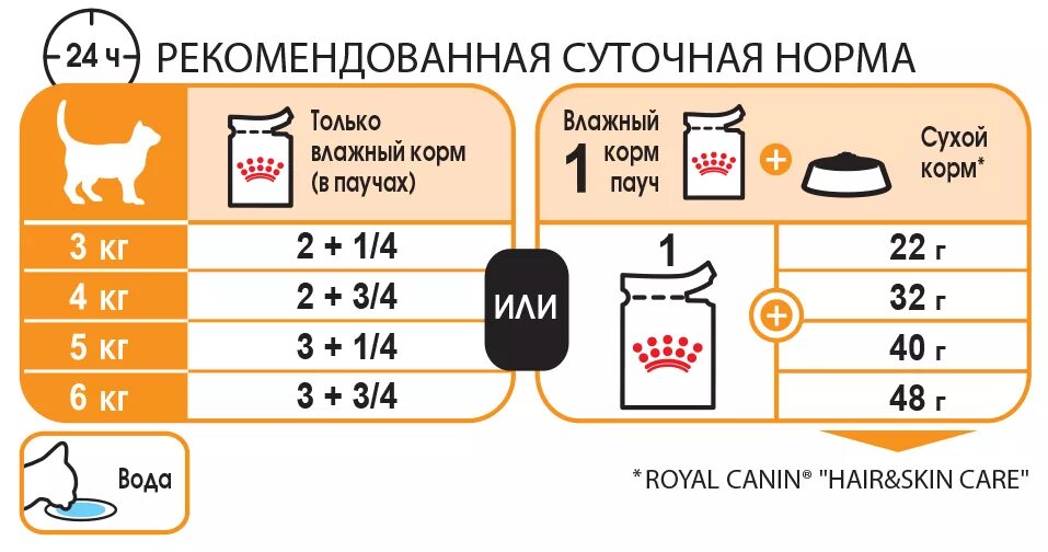 Сколько нужно давать корма кошке в день