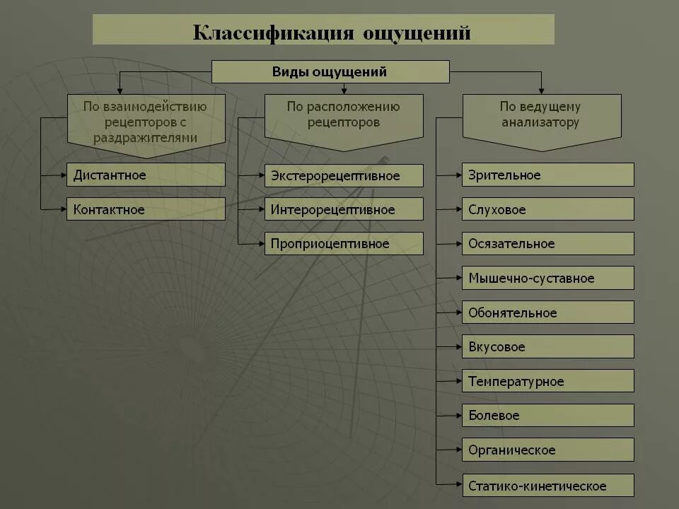 Ощущения страны. Ощущения классификация ощущений психология. Классификация ощущений в психологии таблица. Схема классификация ощущений в психологии. Классификация видов ощущений в психологии.