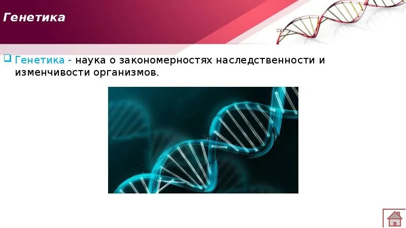 Генетика видеоурок. Генетика это наука о. генетика наука о наследственности и изменчивости. закономерности изменчивости организмов наука. генетика наука исследования наследственности и изменчивости.