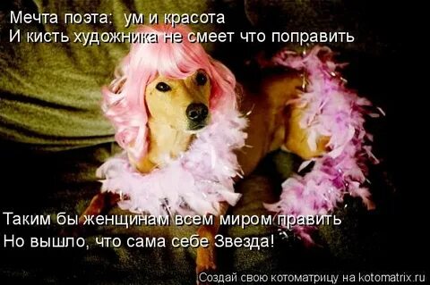Мечта поэта