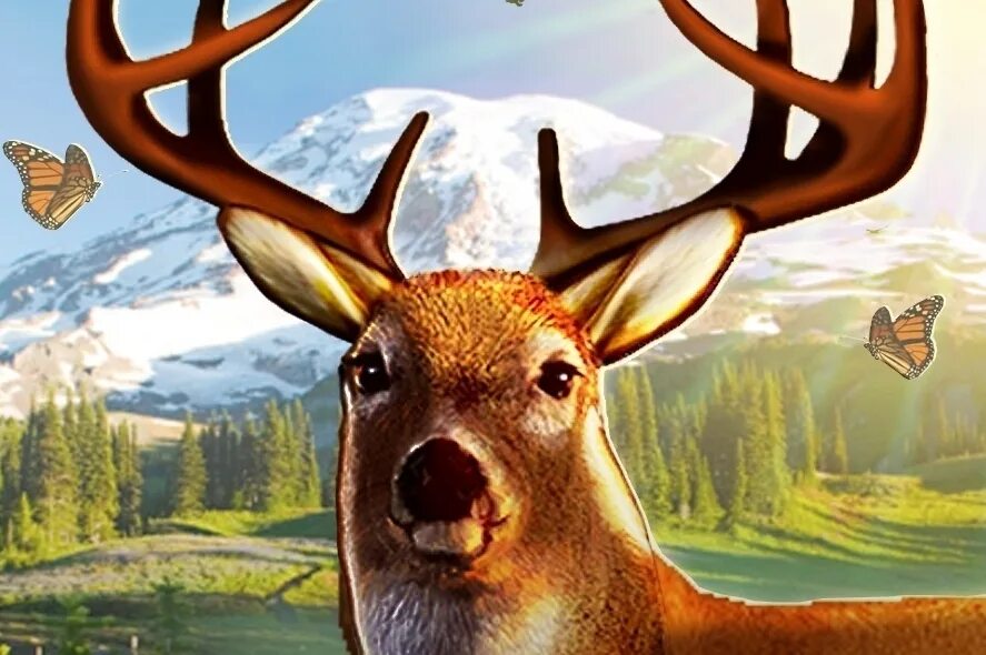 Deer Hunter Classic 2014. The Hunter 2014. Deer Hunter Classic. Deer hunter 2014