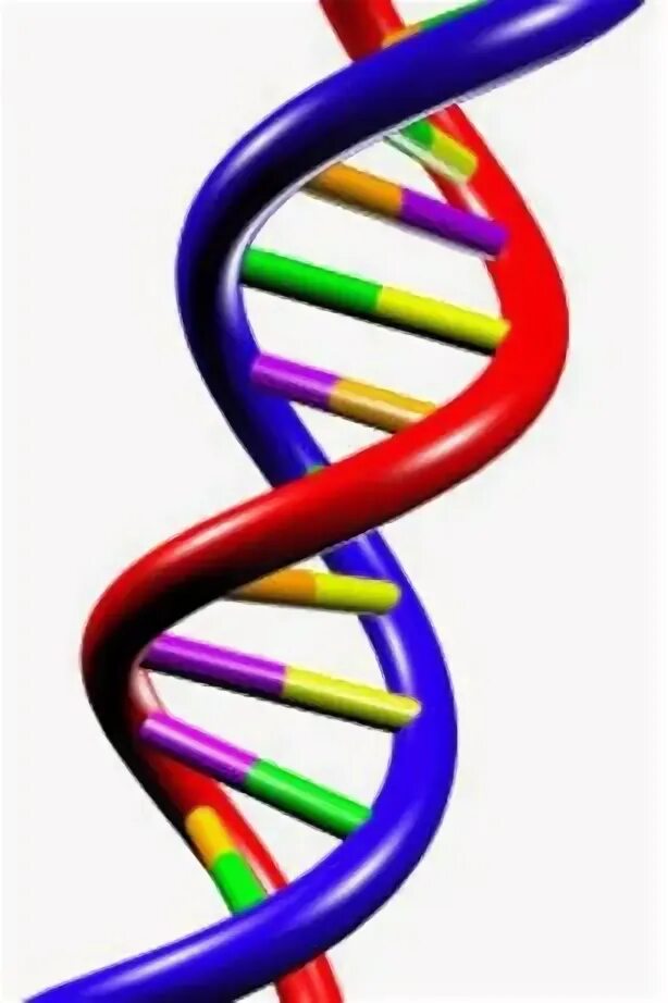 Nucleic acid Double Helix. Project DNA. DNA Google.