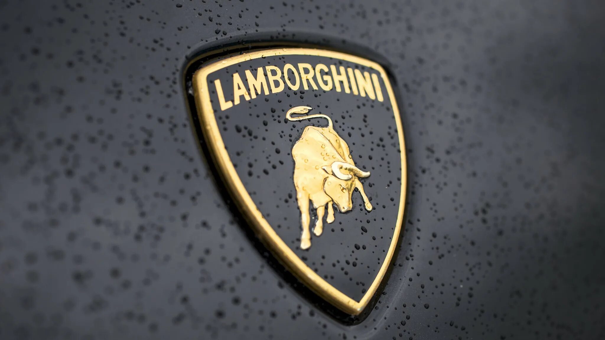 Ламба значок. Ламборгини обои эмблема. Значок машины Ламборджини. Марка Lamborghini. Обои марки Ламборджини.