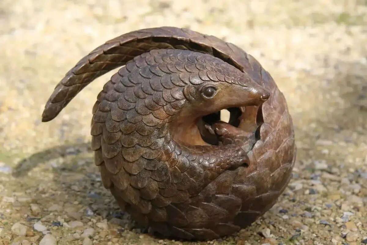 Pangolin
