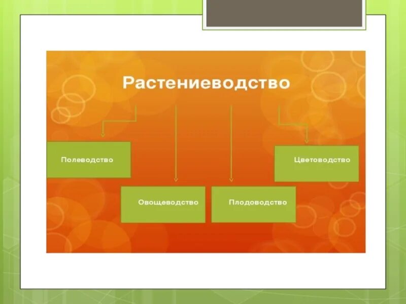 Презентация 4 класс растениеводство в нашем крае. Отрасли растениеводства 4 класс окружающий. Растениеводство в нашем крае 4 класс. Растениеводство схема 4 класс. Растениеводство 4 класс окружающий мир.