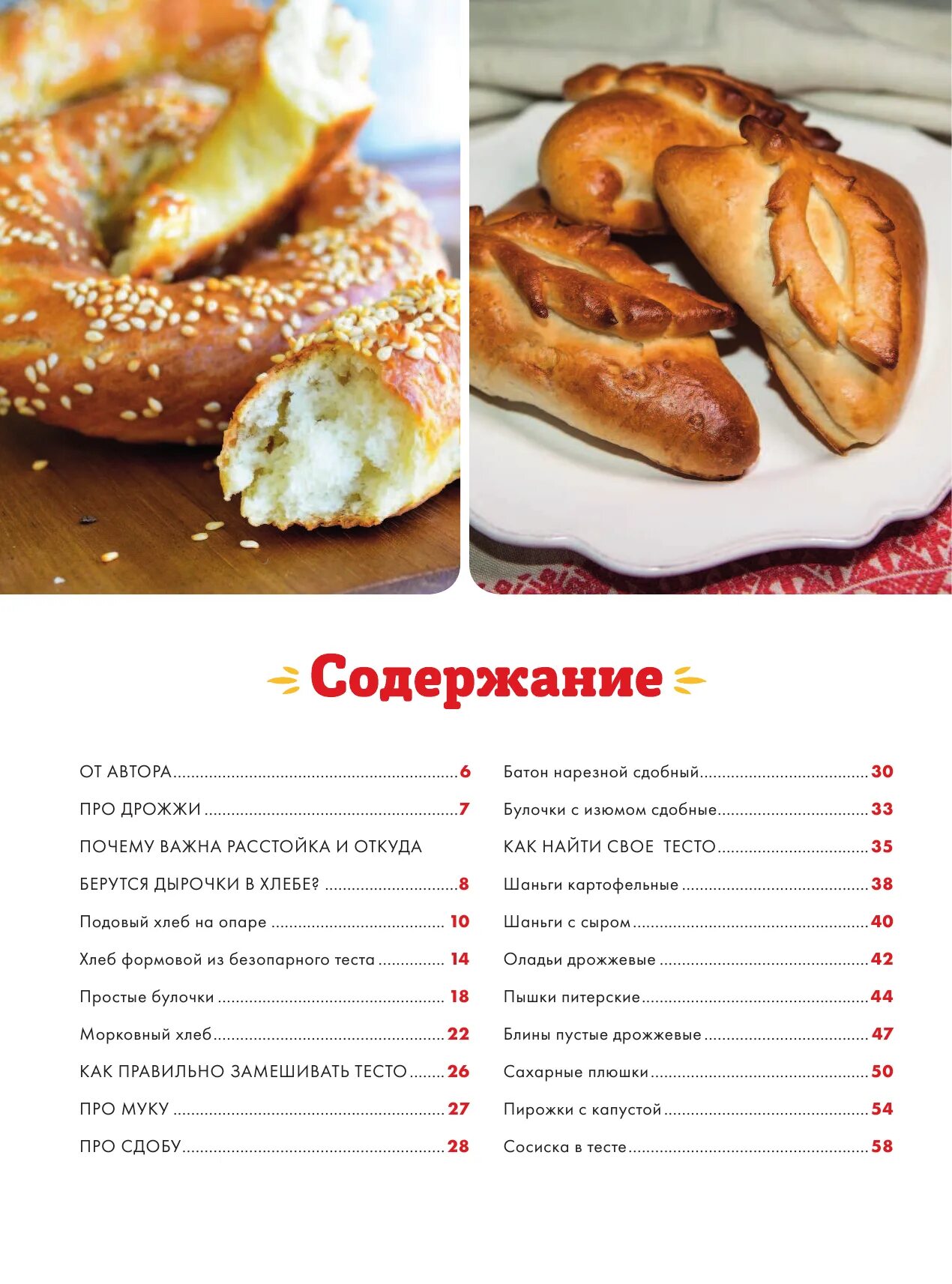 Путан пироги. Любимые русские пироги. книга русские пироги. любимые русские пироги книга. русские пироги названия.