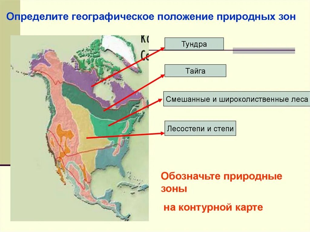 Степи Северной Америки карта. Природные зоны Северной Америки. Карта природных зон Северной Америки. Географическое положение природной зоны Северной Америки.