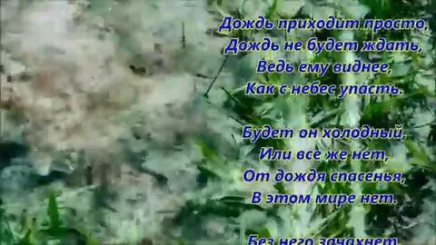 Дождь тальков текст