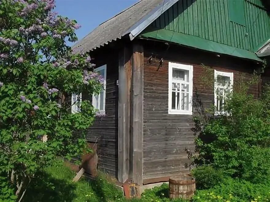 Дом псковская область. Обл, дедовмческого рон. Дом псковская область недорого. Деревня палкино псковская область. Дом псковская область.