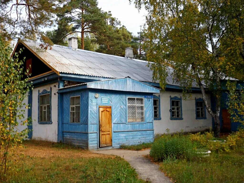 Вологодская область библиотека. Поселок Чагода Вологодской области. Чагодощенский район посёлок Чагода. Чагодощенский район Вологодской области. Сазоново Чагодощенский район Вологодская область посёлок.