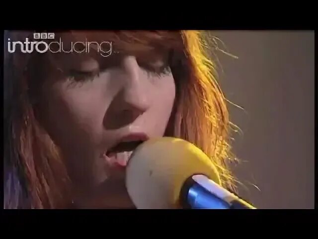 Florence the machine dog days are