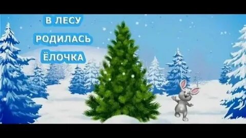 Royal forest елка