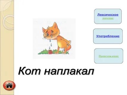 Фразеологизмы 3 класс кот наплакал