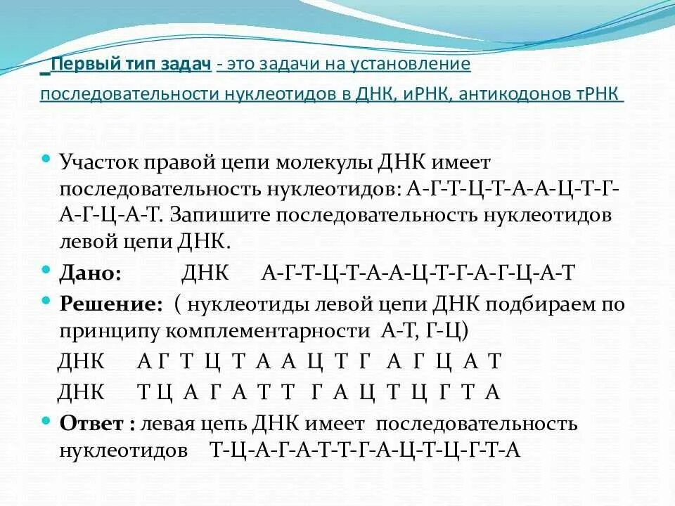 Кодирующая цепь днк имеет последовательность. Задачи по молекулярной биологии. Последовательность нуклеотидов ДНК. Решение задач по молекулярной биологии. Задачи по биологии.