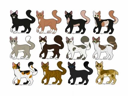 Окрасы котиков