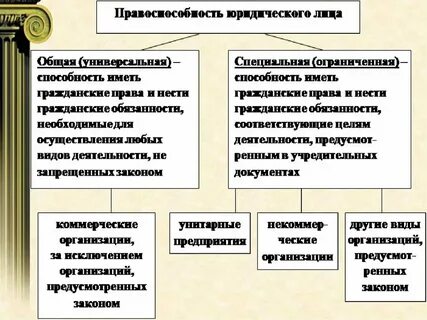 Общая правоспособность это