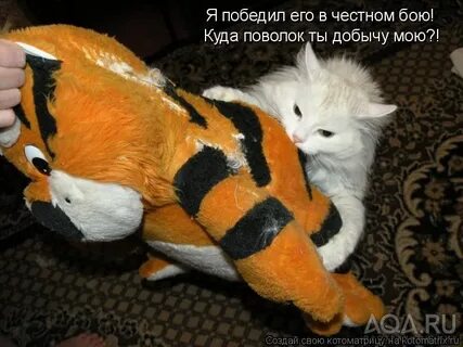 Видео хорошо взяла
