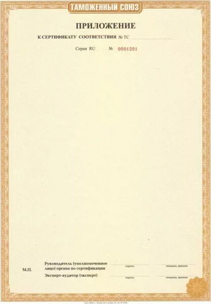 Таможенный союз сертификат соответствия пустой. Приложение для сертификатов. Сертификат фитнес тренера. Приложение для сертификатов. Сертификат соответствия приложение к сертификату.