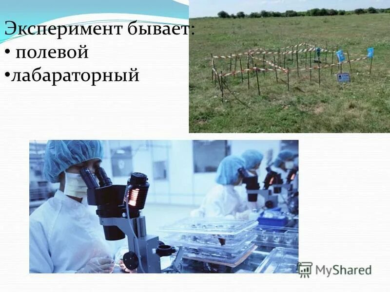 Эксперимент не бывает. Эксперимент не бывает